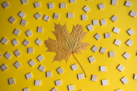 Autumn Maple Leaf Centered Among Scattered Wooden Blocks Stock Photos