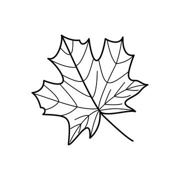 Autumn Maple Leaf Cute Hand Drawn Doodle Vector Illustration for Fall Design Stock Illustration