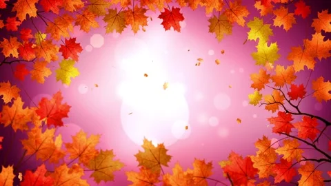 Autumn maple leaf falling video stage frame background frame Stock Footage 143592840