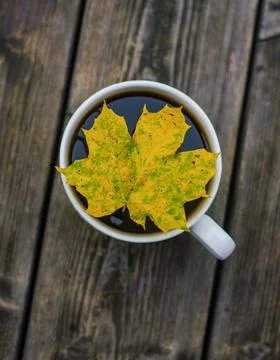 Autumn Maple Leaf Floating on Coffee in White Cup with coffee on Wooden Table Stock Photos
