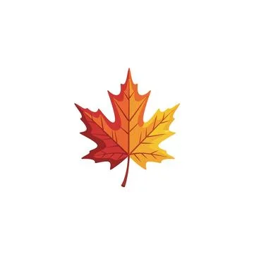 Autumn maple leaf icon design with gradient colors, fall foliage graphic Stock Illustration