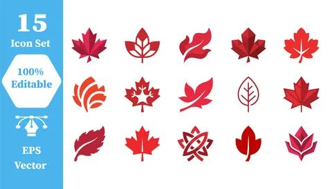 Autumn maple leaf icon set for fall season with deciduous forestry botanical Stock Illustration