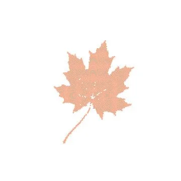 Autumn maple leaf Stock Illustration