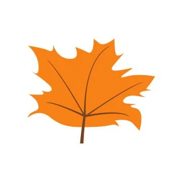 Autumn Maple Leaf Stock Illustration
