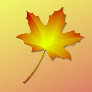 Autumn maple leaf Stock Illustration