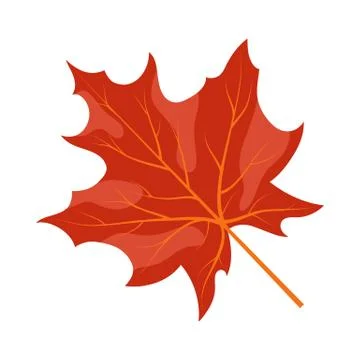 Autumn Maple Leaf Stock Illustration