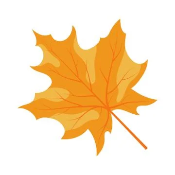 Autumn Maple Leaf 스톡 일러스트