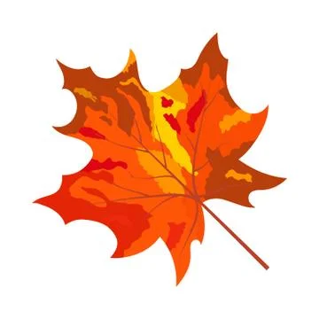 Autumn Maple Leaf 스톡 일러스트