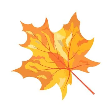 Autumn Maple Leaf Stockillustratie