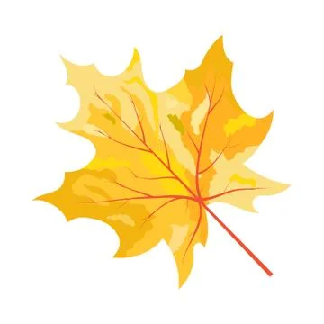 Autumn Maple Leaf Illustrazione stock