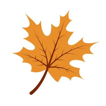 Autumn maple leaf Stock Illustration
