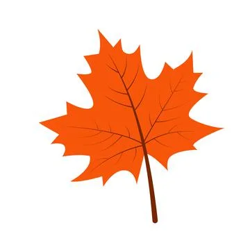 Autumn maple leaf Stock Illustration