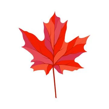 Autumn Maple Leaf Illustrazione stock
