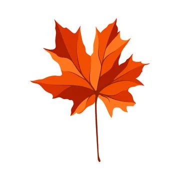 Autumn Maple Leaf Illustrazione stock