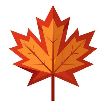 Autumn maple leaf イラスト素材