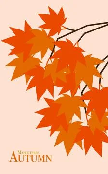 Autumn-Maple leaf of illustration Stock Illustration