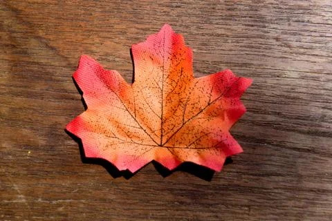 Autumn maple leaf Foto stock