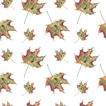 Autumn maple leaf seamless pattern. Watercolor green, yellow, red golden Stock-Illustration