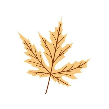 Autumn Maple Leaf Vector Fall Season Botanical Illustration for Decor and Design Illustrazione stock