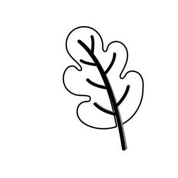 Autumn Maple leaf vector illustration design template イラスト素材