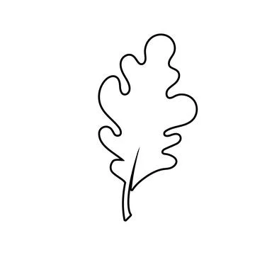 Autumn Maple leaf vector illustration design template イラスト素材