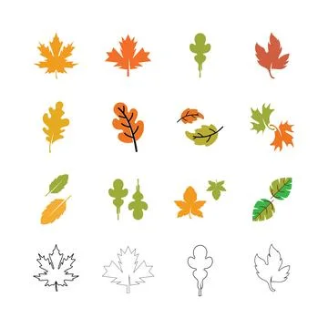 Autumn Maple leaf vector illustration design template イラスト素材