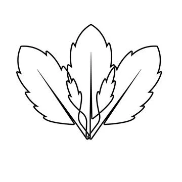 Autumn Maple leaf vector illustration design template Stock Illustration