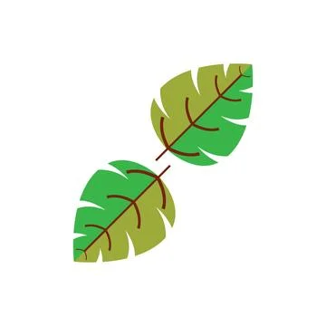 Autumn Maple leaf vector illustration design template 스톡 일러스트