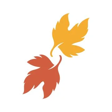 Autumn Maple leaf vector illustration design template イラスト素材