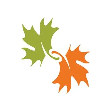 Autumn Maple leaf vector illustration design template 스톡 일러스트