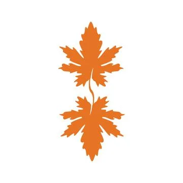 Autumn Maple leaf vector illustration design template Illustrazione stock