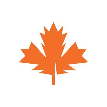 Autumn Maple leaf vector illustration design template 스톡 일러스트