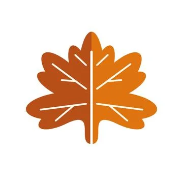 Autumn maple leaf vector illustration for fall season 스톡 일러스트