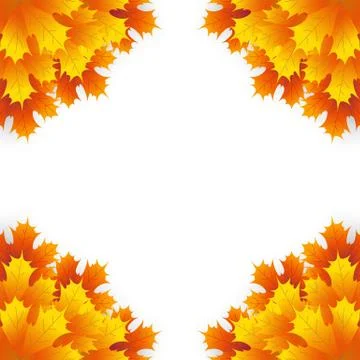 Autumn maple leaf on a white background イラスト素材