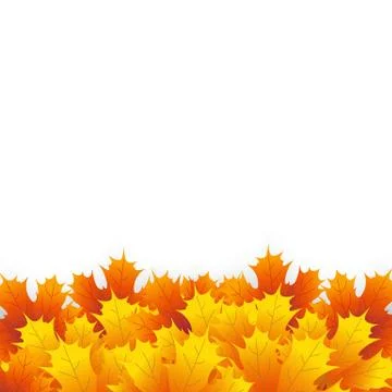 Autumn maple leaf on a white background Stock Illustration