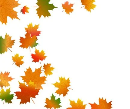 Autumn maple leaf on a white background Illustrazione stock