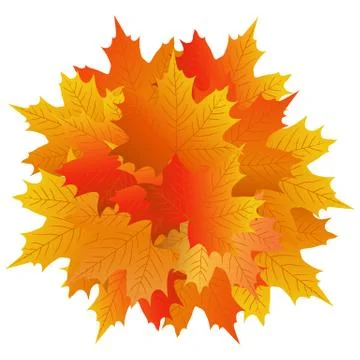 Autumn maple leaf on a white background Stock Illustration
