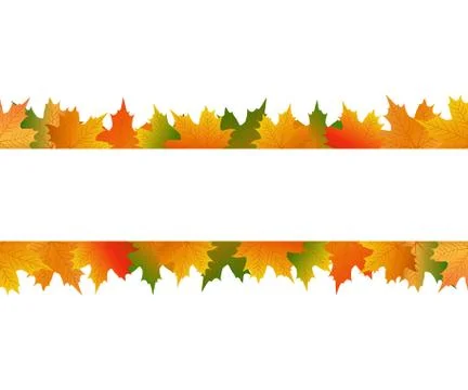 Autumn maple leaf on a white background Stock Illustration