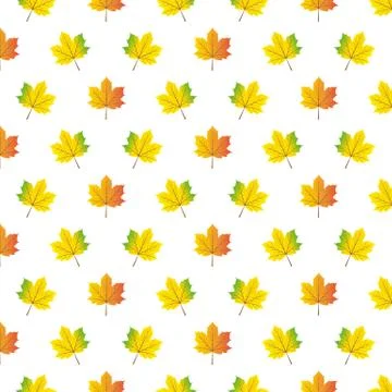 Autumn maple leafs pattern Illustrazione stock