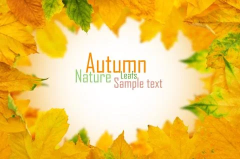 Autumn Maple Leafs Stock Photos