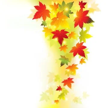 Autumn maple leaves background Stock Illustration