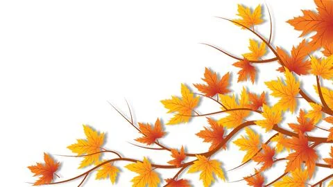 Autumn maple leaves on branches over white background for fall equinox design イラスト素材