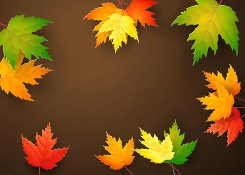 Autumn maple leaves on brown background. Illustrazione stock