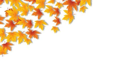 Autumn maple leaves corner border on white background with copy space. Stock Illustration