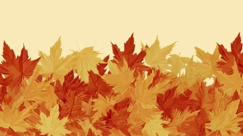 Autumn maple leaves drifting along bottom border with copy space, hand draw.. Stock Footage 342043169
