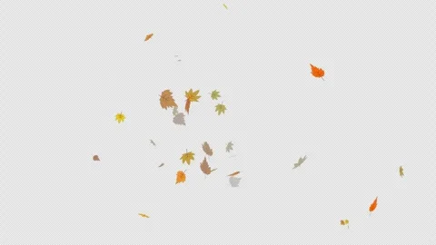 Autumn maple leaves, fallen dry leaf, thanksgiving golden landscape leaves 🍁 Stock Footage 302334475