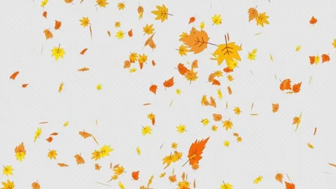 Autumn maple leaves, fallen dry leaf, thanksgiving golden landscape leaves 🍂 Video stock 302334492