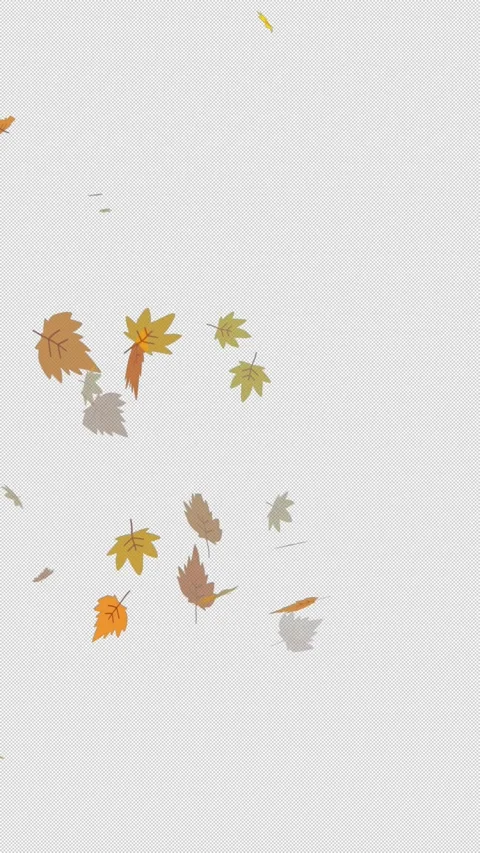 Autumn maple leaves, fallen dry leaf, thanksgiving golden landscape leaves 🍂 Stock Footage 302334833
