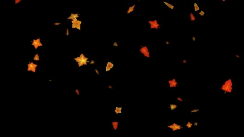 Autumn maple leaves falling and tumbling on black, 4K overlay loop 動画素材 347464387