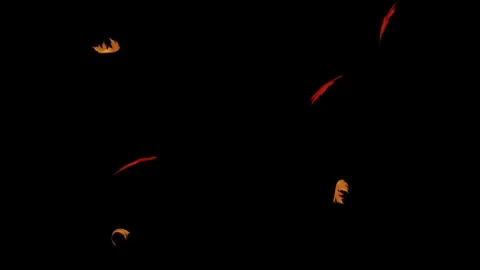 Autumn maple leaves falling animation Stock Footage 307937553